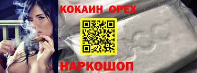 кокс Кингисепп