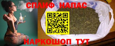 кокс Кингисепп
