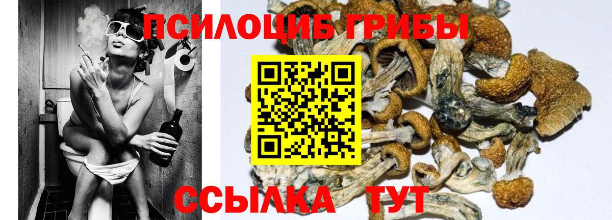 Псилоцибиновые грибы прущие грибы  даркнет сайт  Старая Купавна  Вход с VPN 